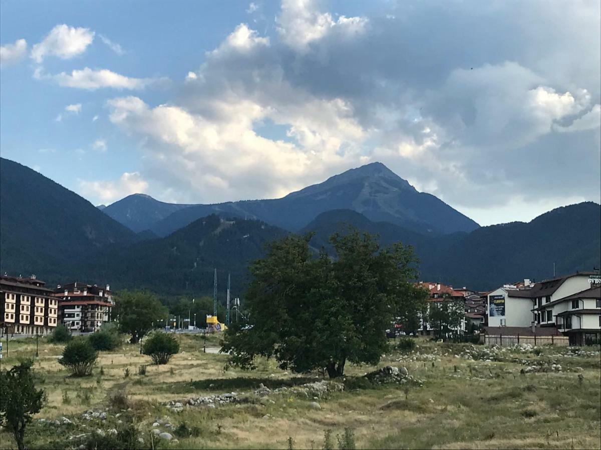 Aparthotel Vista Top Lodge Bansko Buitenkant foto